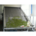 High Efficient Mesh Belt Dryer for Flower